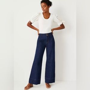 Ann Taylor High Rise Palazzo Jeans in Classic Rinse Wash (Size 0) IMMACULATE!